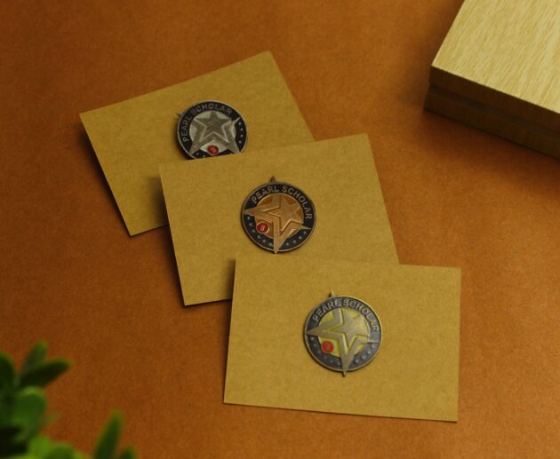 Gold Star Lapel Pin